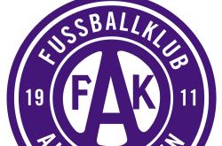 开云体育app-奥地利球队势如破竹，力争晋级！的简单介绍