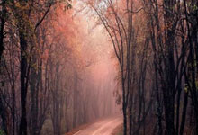 开云体育APP下载-包含法网完胜温网，穆雷惊艳四座的词条