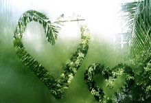 开云体育app-泰国队完胜法国队，黄鸭组合带队取胜