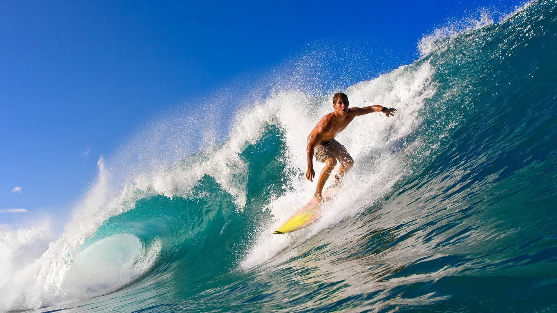 引擎低吼与城市霓虹,福克斯稳定输出不掉线的F1街道赛之夜